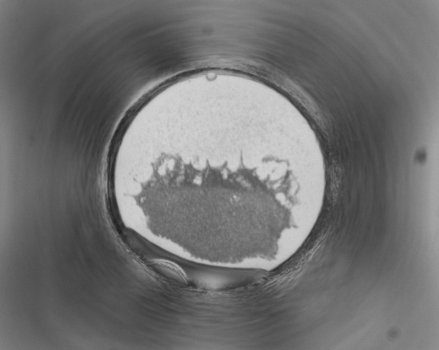 X0000116491028201001201359