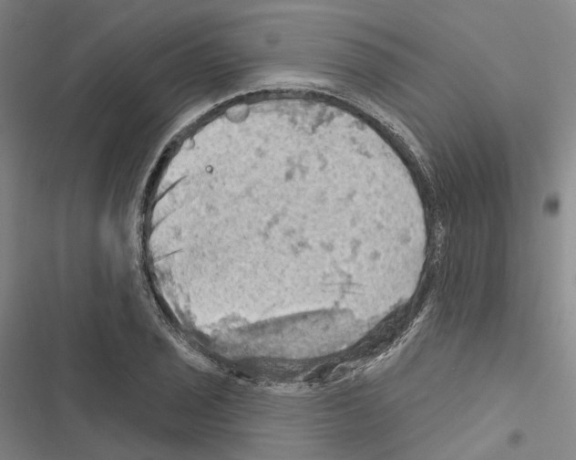 X0000116491029201001201359