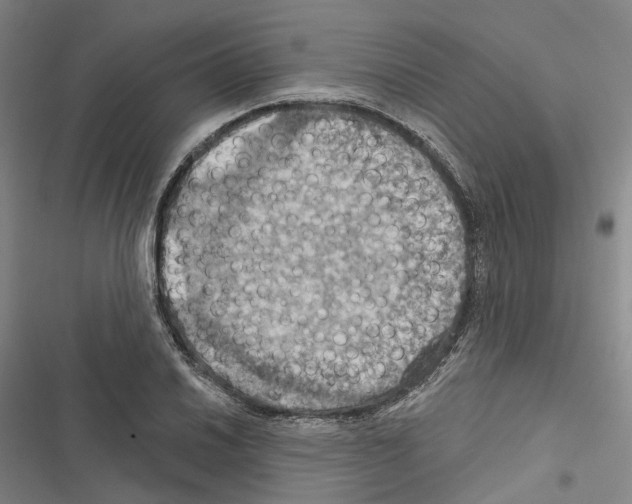 X0000116491030201001201359