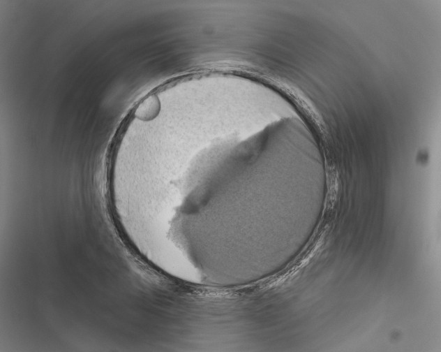 X0000116491031201001201359