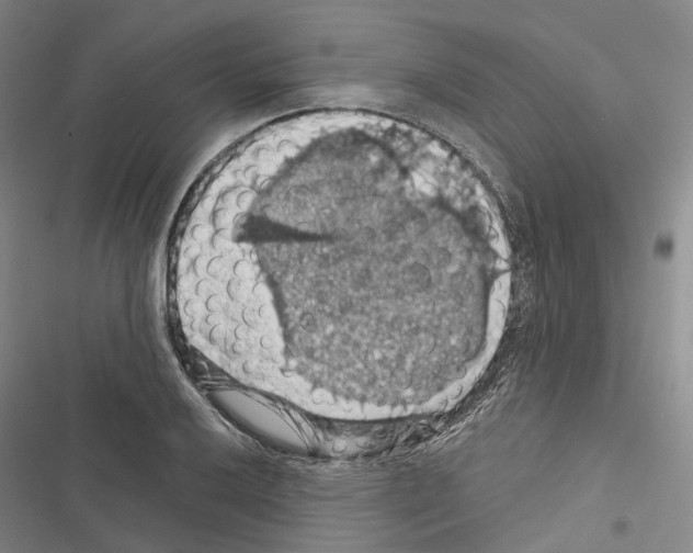 X0000116491032201001201359