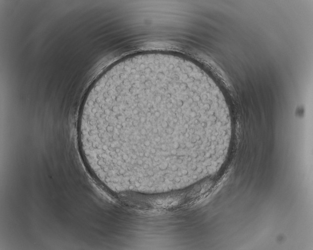 X0000116491033201001201359