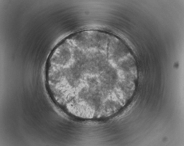 X0000116491034201001201359