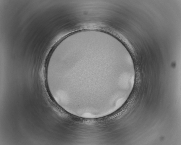 X0000116491035201001201359