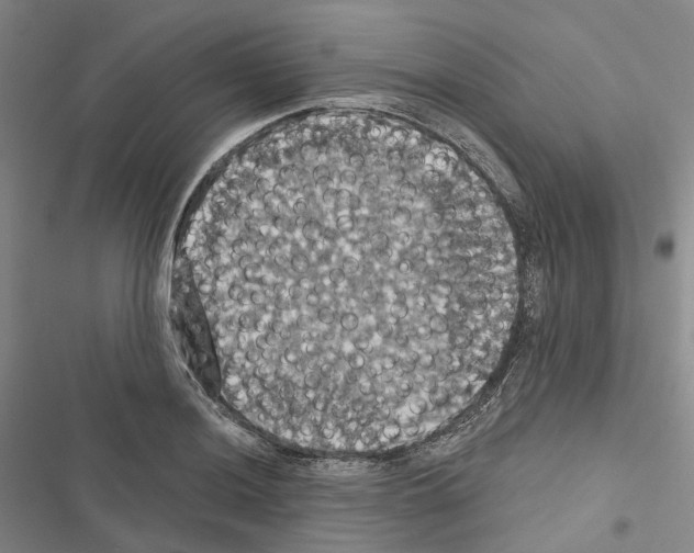 X0000116491036201001201359