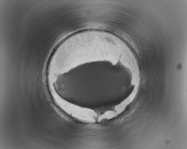 X0000116491037201001201359