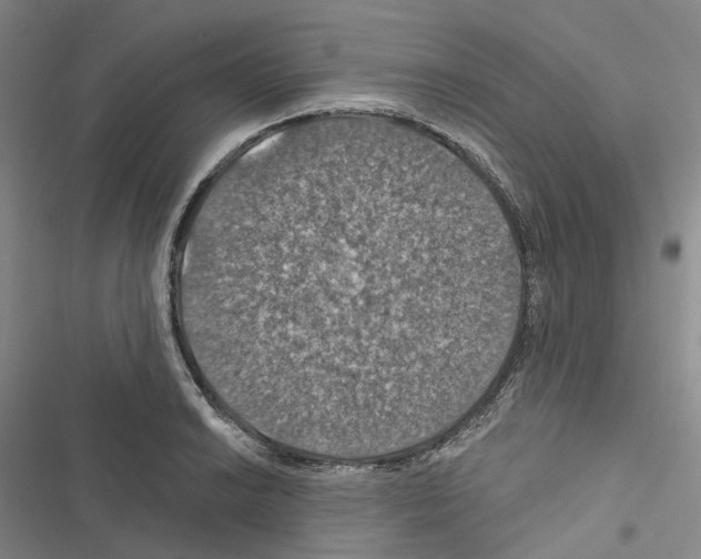 X0000116491038201001201359