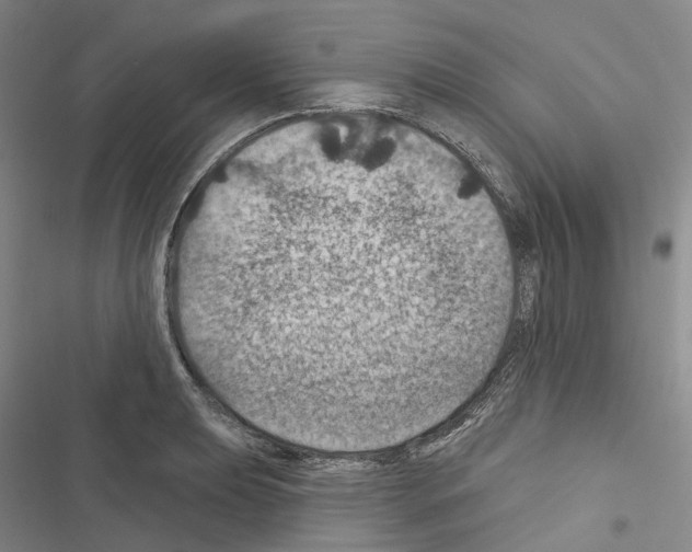 X0000116491039201001201359