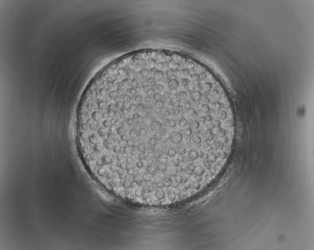 X0000116491040201001201359