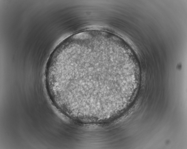 X0000116491042201001201359