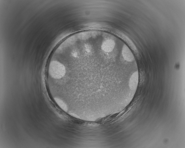 X0000116491043201001201359