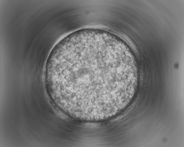 X0000116491044201001201359