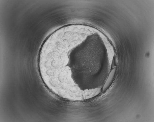 X0000116491045201001201359