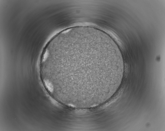 X0000116491046201001201359