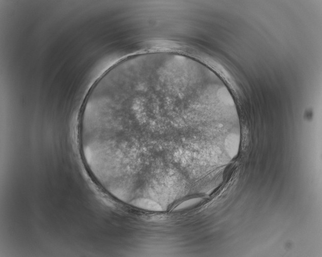 X0000116491047201001201359