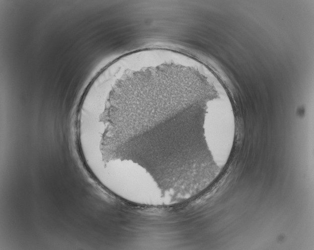 X0000116491048201001201359