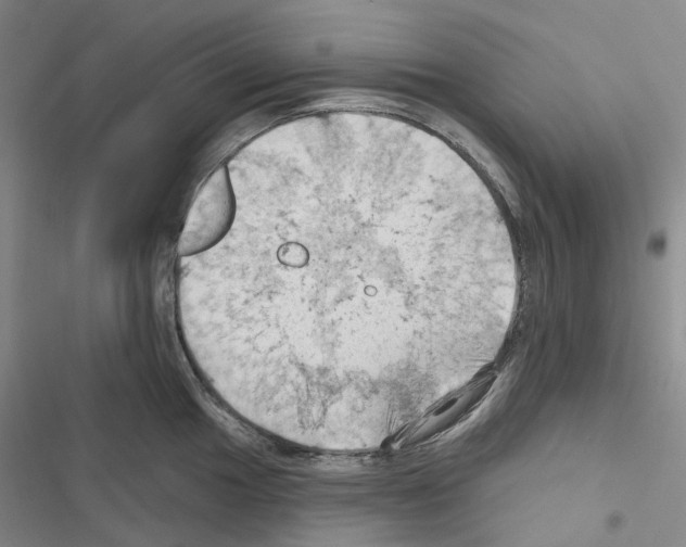 X0000116491049201001201359