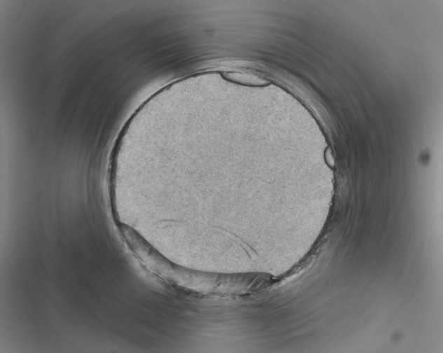 X0000116491050201001201359