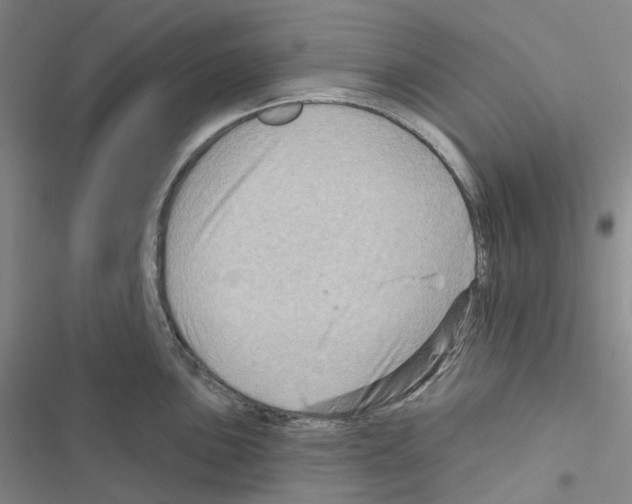 X0000116491051201001201359