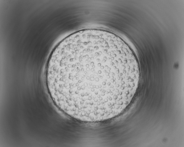 X0000116491053201001201359