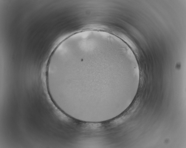 X0000116491055201001201359