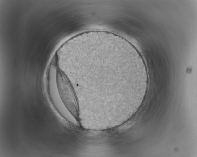 X0000116491056201001201359