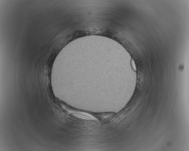 X0000116491058201001201358