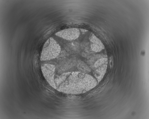 X0000116491059201001201358