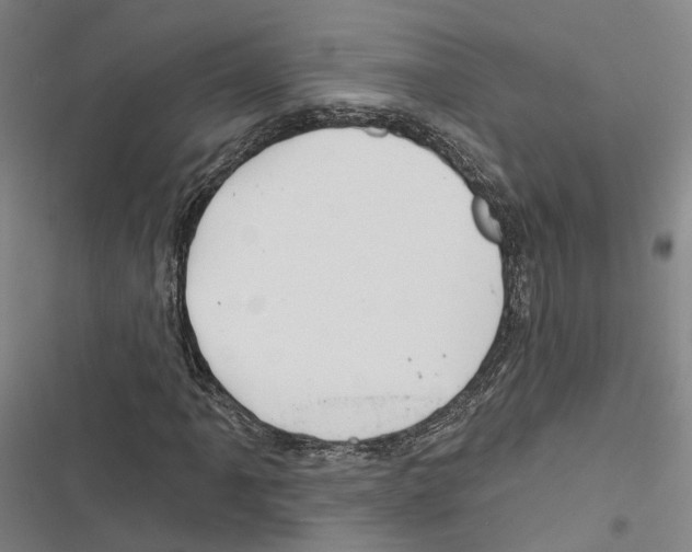 X0000116491061201001201358