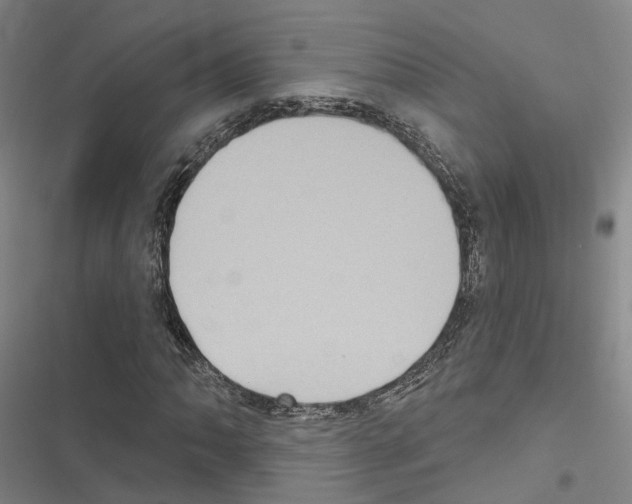 X0000116491062201001201358