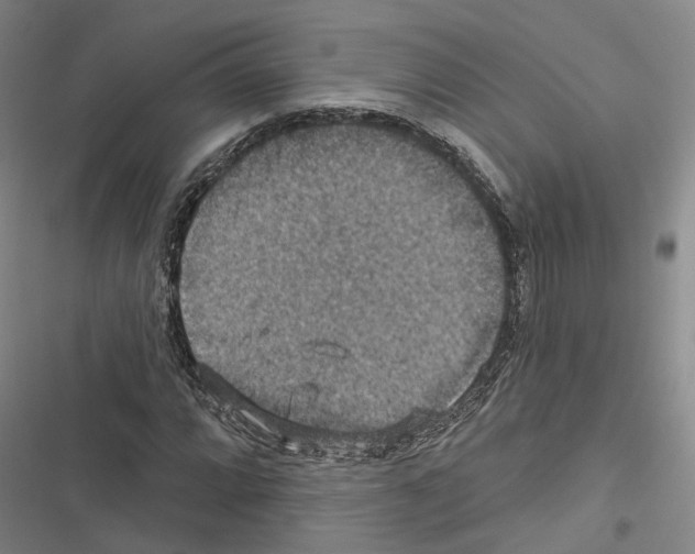 X0000116491064201001201358