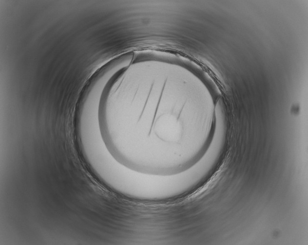 X0000116491065201001201358