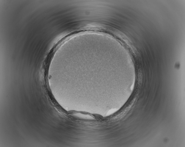 X0000116491066201001201358