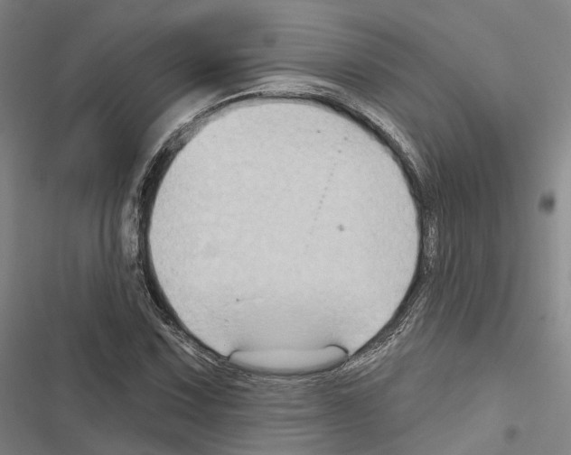 X0000116491067201001201358