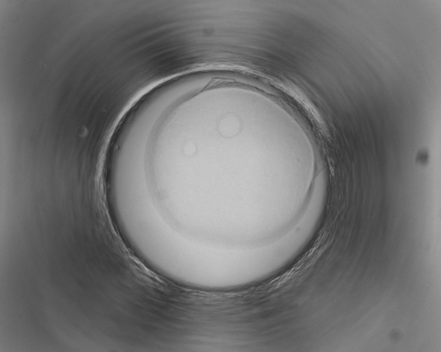 X0000116491068201001201358