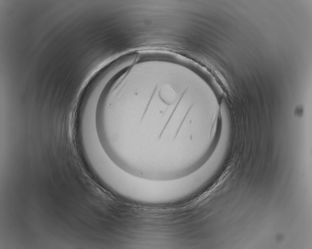 X0000116491069201001201358