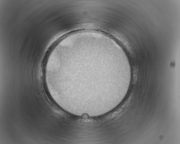 X0000116491070201001201358