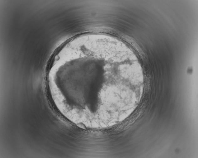 X0000116491071201001201358