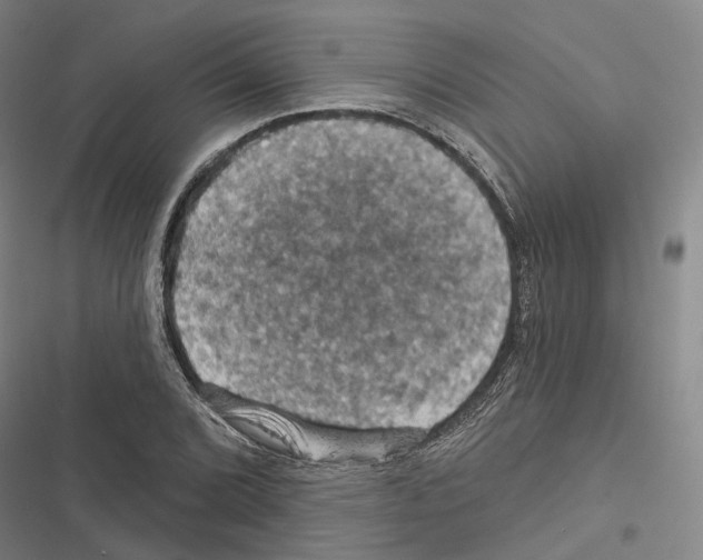 X0000116491072201001201358