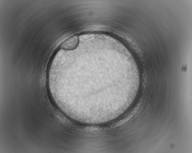 X0000116491073201001201358