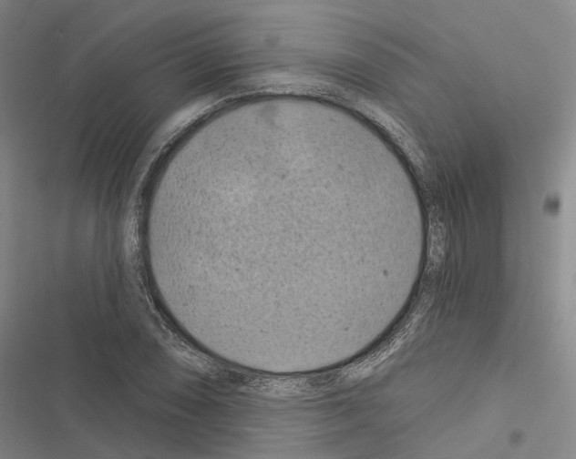 X0000116491074201001201358