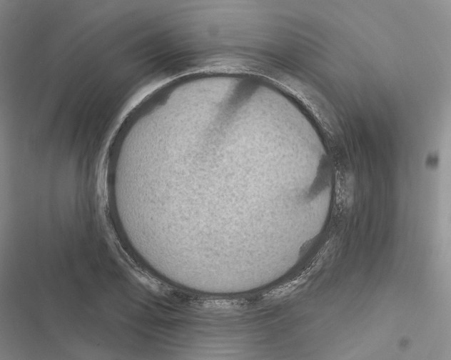 X0000116491078201001201358