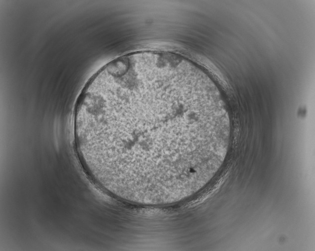 X0000116491079201001201358