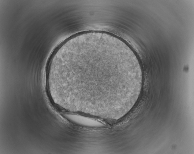 X0000116491080201001201358