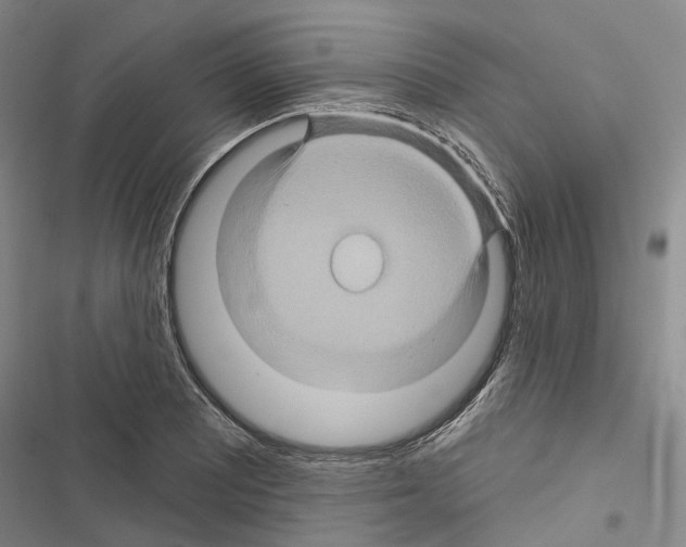 X0000116491081201001201358