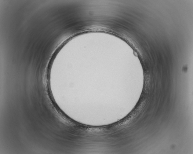 X0000116491082201001201358