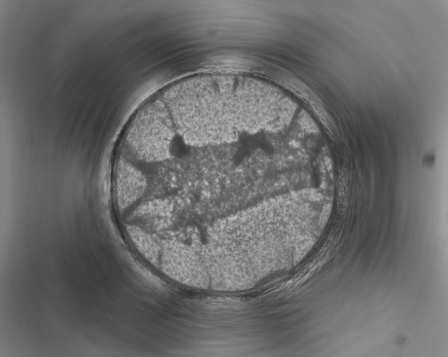 X0000116491083201001201358