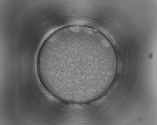 X0000116491086201001201358