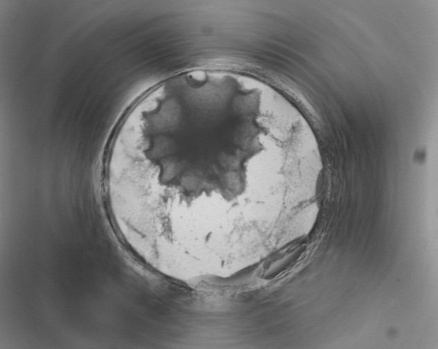 X0000116491087201001201358