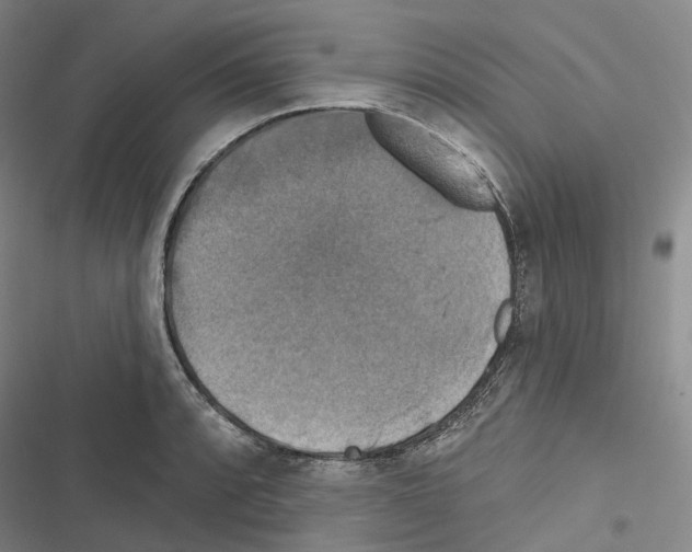 X0000116491088201001201358